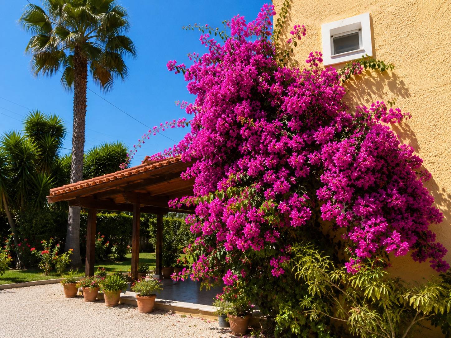 Villa The Rose